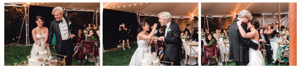 cake cutting, first dance, and reception shots at glynwood wedding