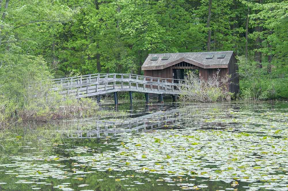 engagement locations in westchester county: teatown lake reservation